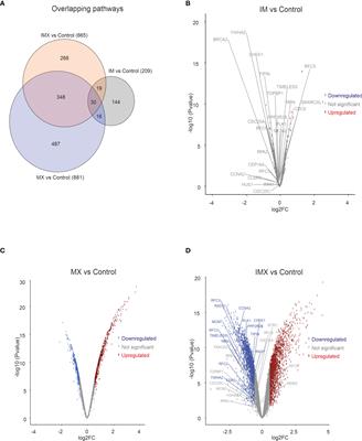 Targeting DNA Homologous Repair Proficiency With Concomitant Topoisomerase II and c-Abl Inhibition